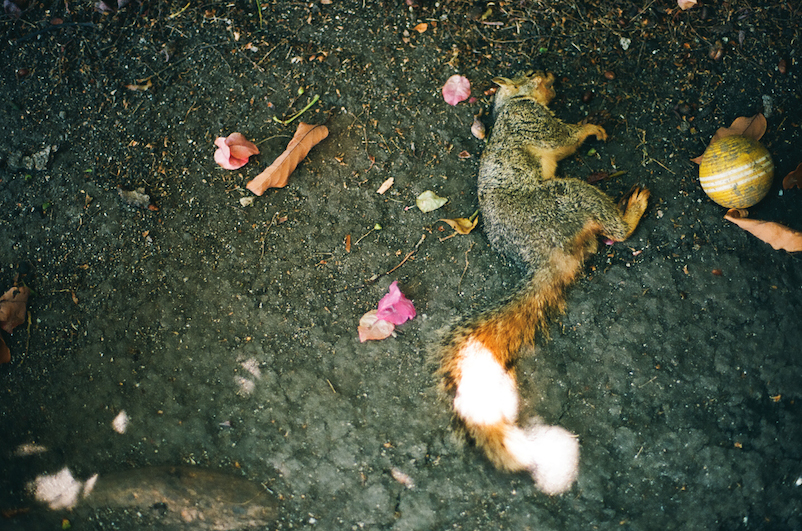 1. DESCRIBE YOURSELF