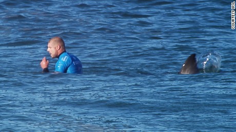 150719125326 02 wsl shark attack mfanning 1 jpg large 169