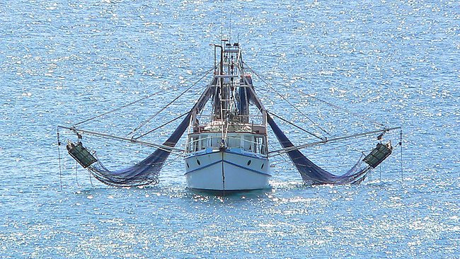 980652 trawler