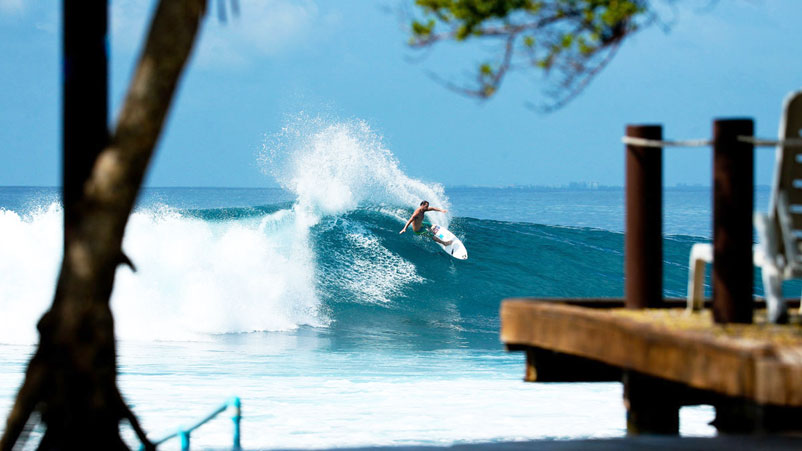 Don't, like, not go to the Maldives. Just... y'know... something to think about. Mitch Coleborn, paradise slice.