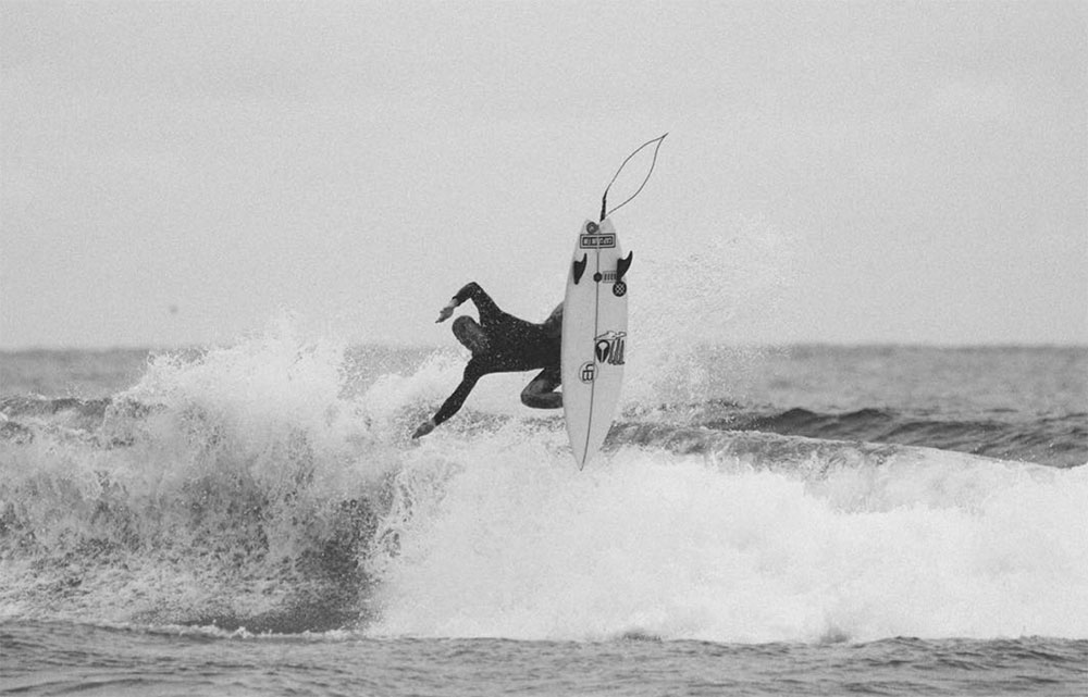 Chippa, recently, around home, with a blank nose. Photo: @chippawilson IG by @amsimage