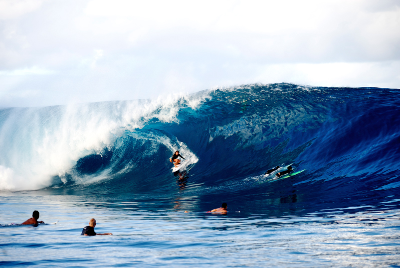 Frankie_Harrer_Morgan_Maassen