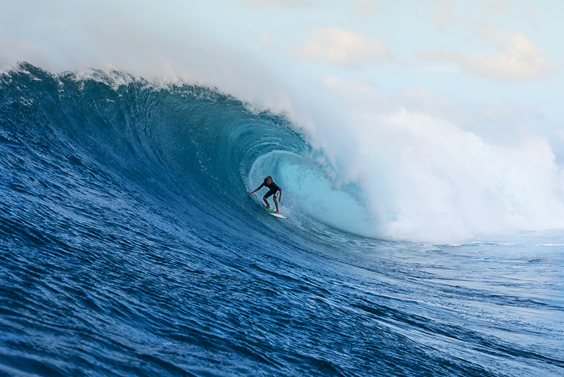 NoahBeschen_Ppass_HenriquePinguim_D3_5851