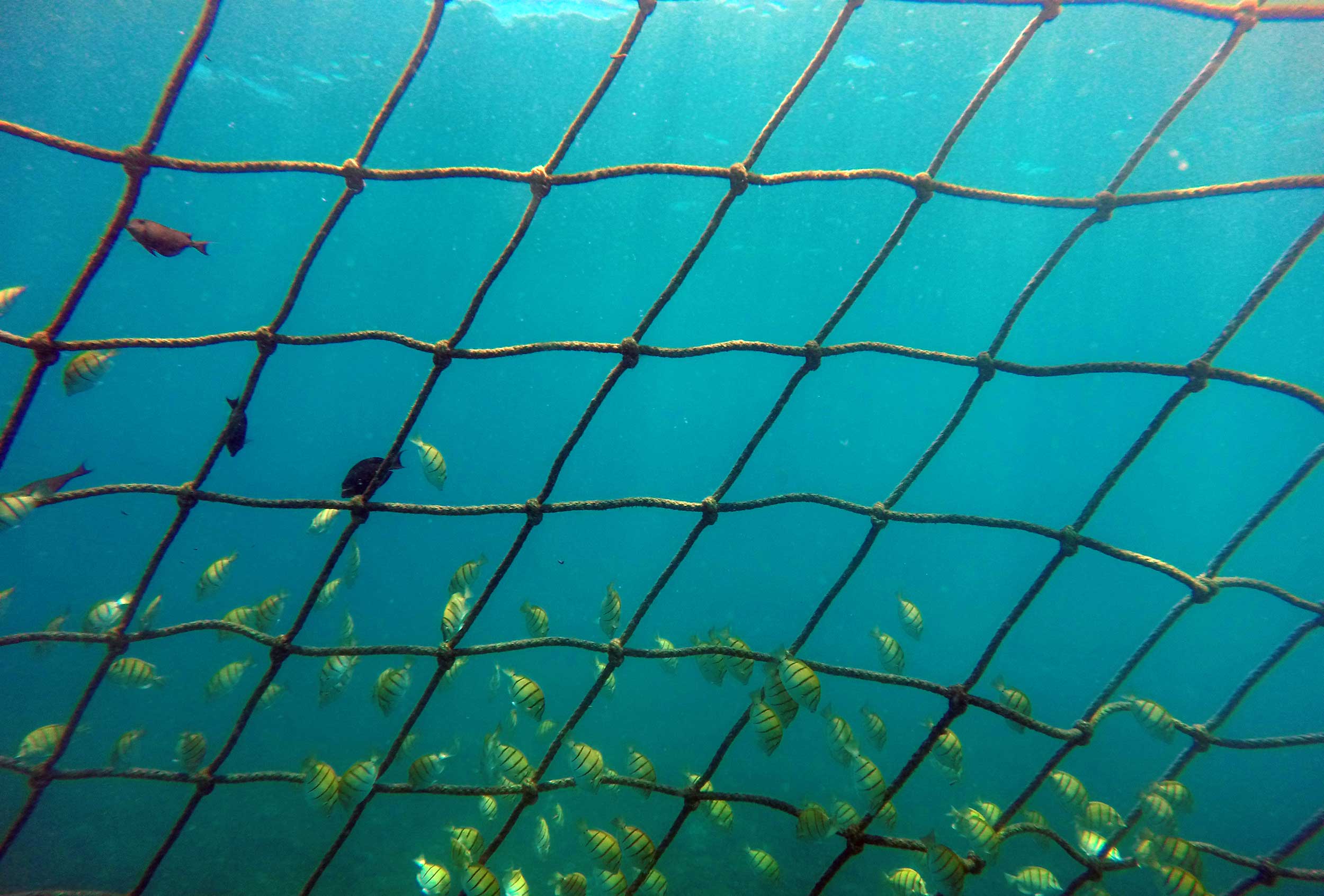 QS 2016 RadicalReunionReunion Smith 168