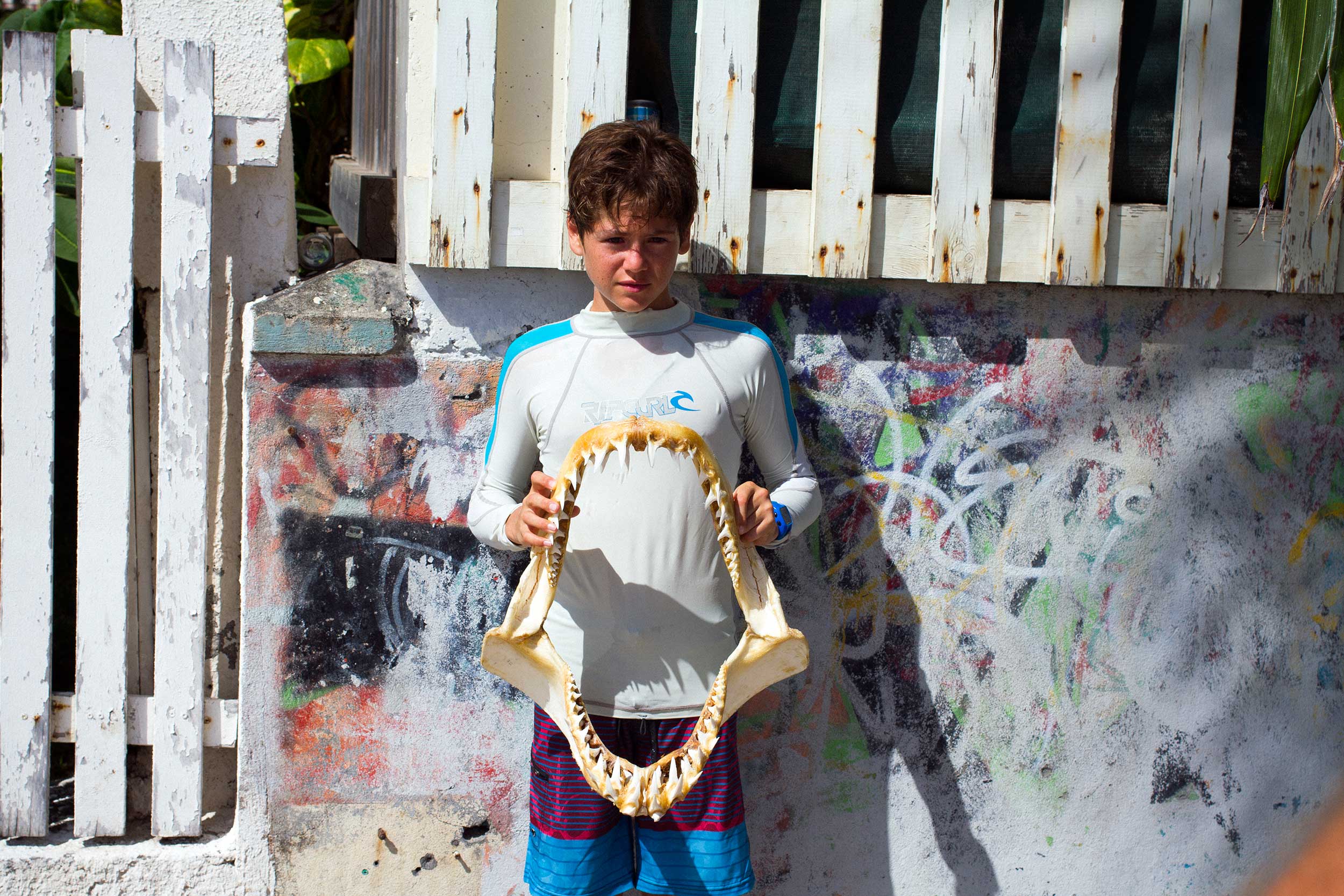 QS 2016 RadicalReunionReunion Smith 2010