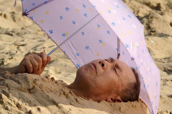 a.baa Hiding from sun on beach