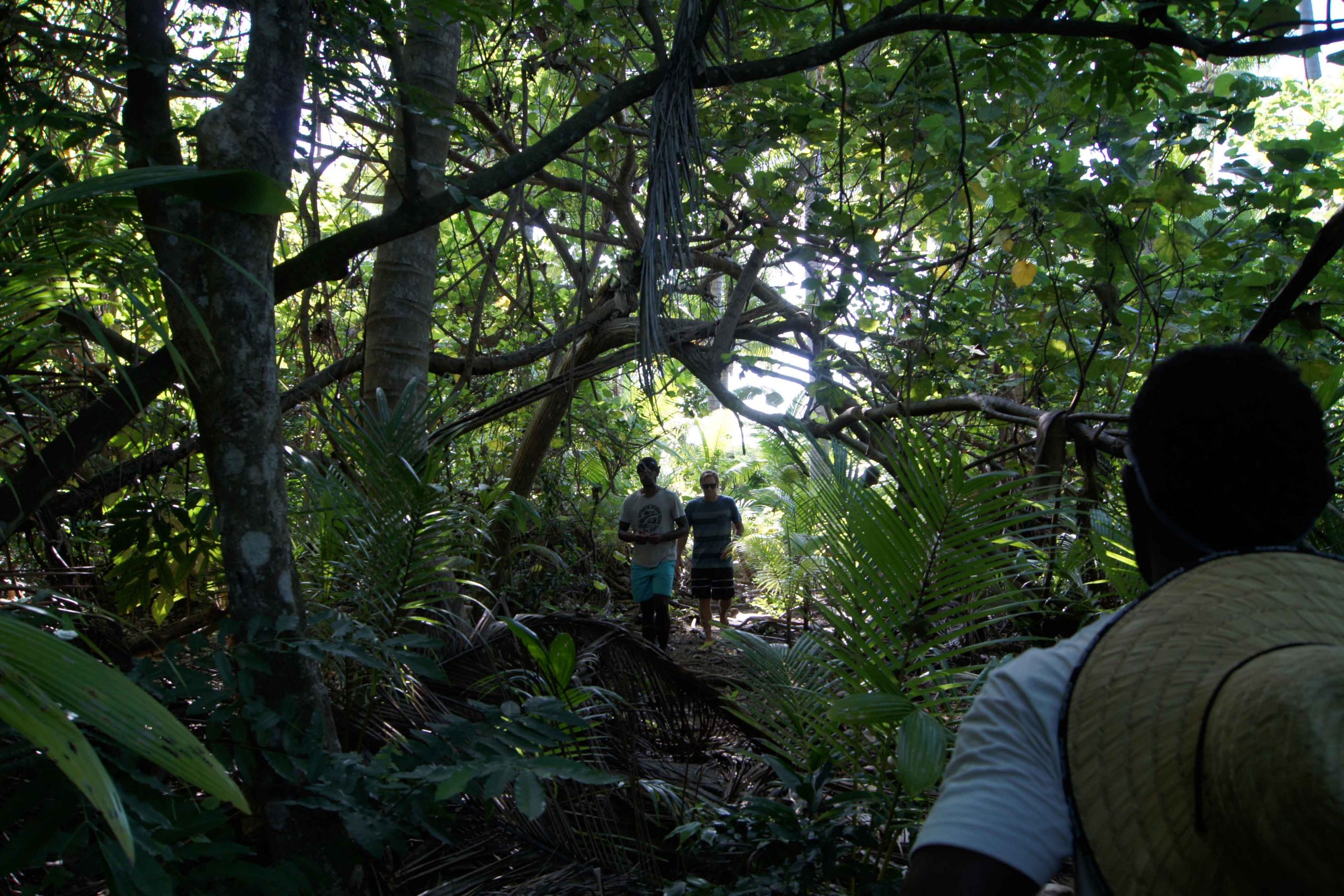 fiji land west looking back to beach