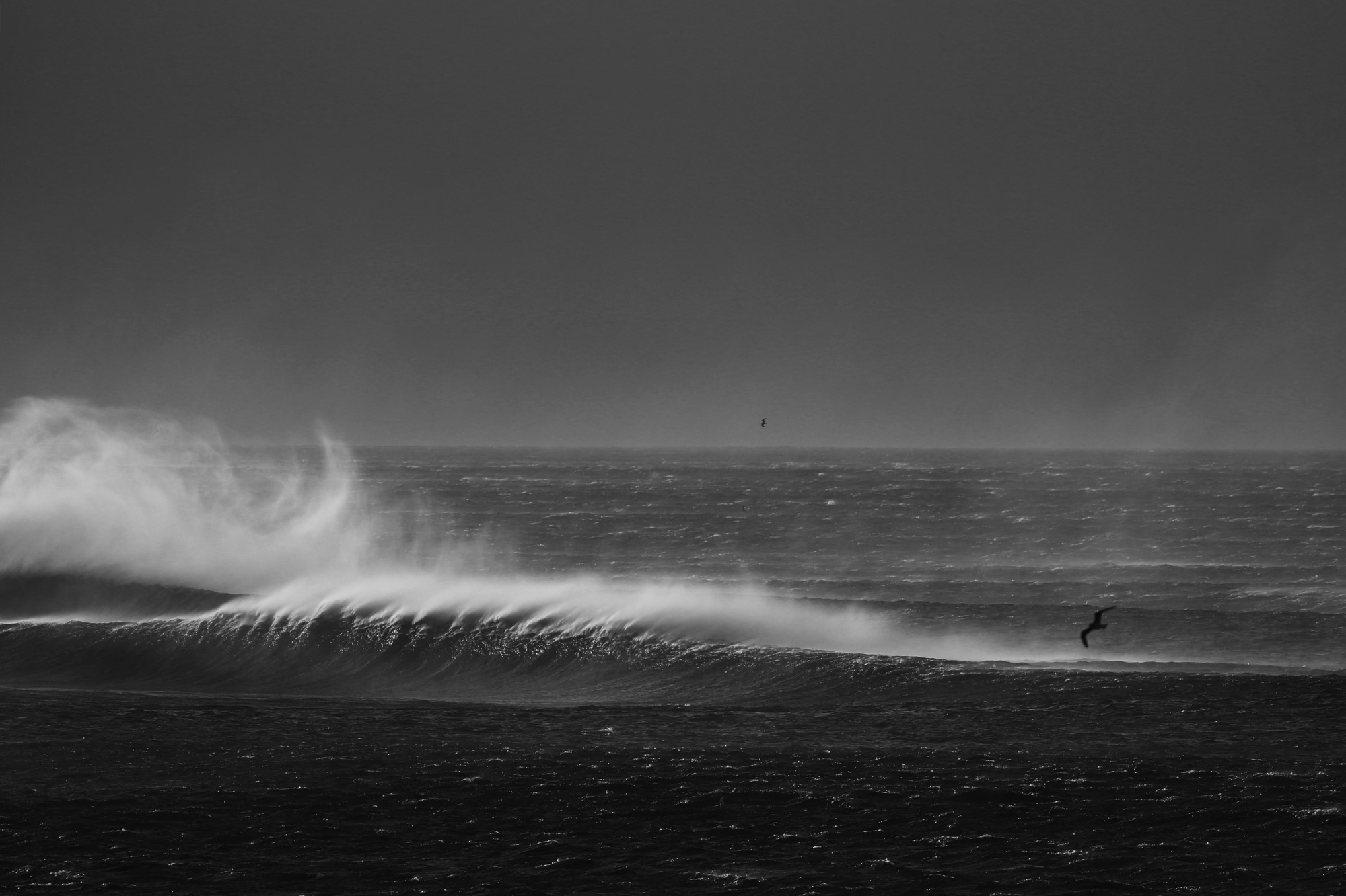 stab mag finisterre 21 of 11