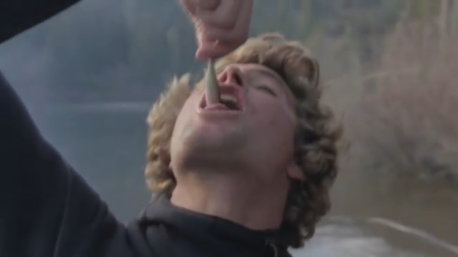 surfer eats small fish